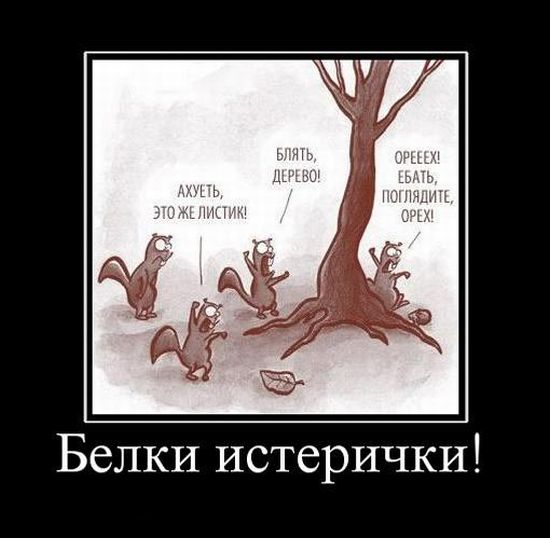 Демотиваторы приколы