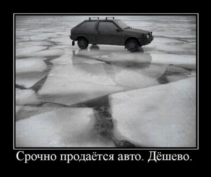 Демотиваторы приколы