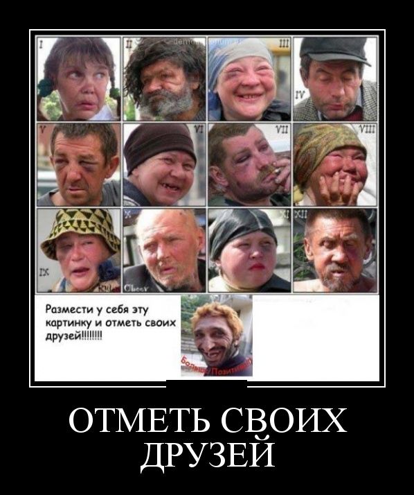 Демотиваторы приколы