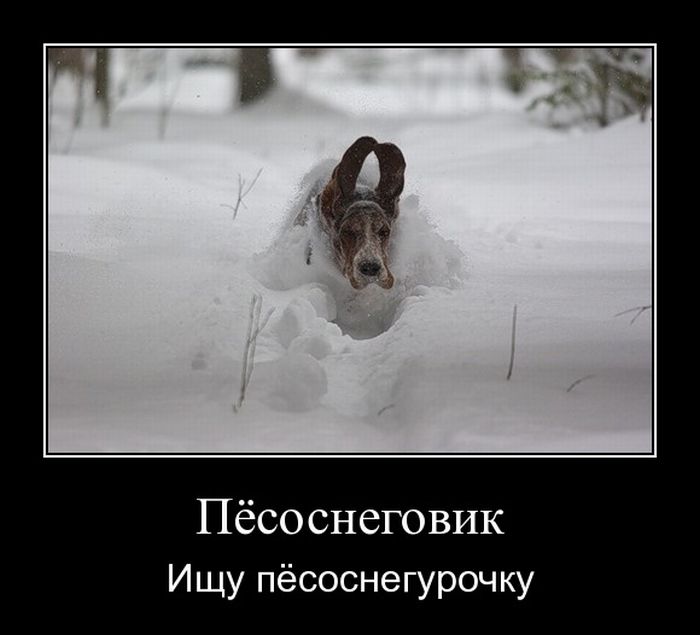 Демотиваторы приколы