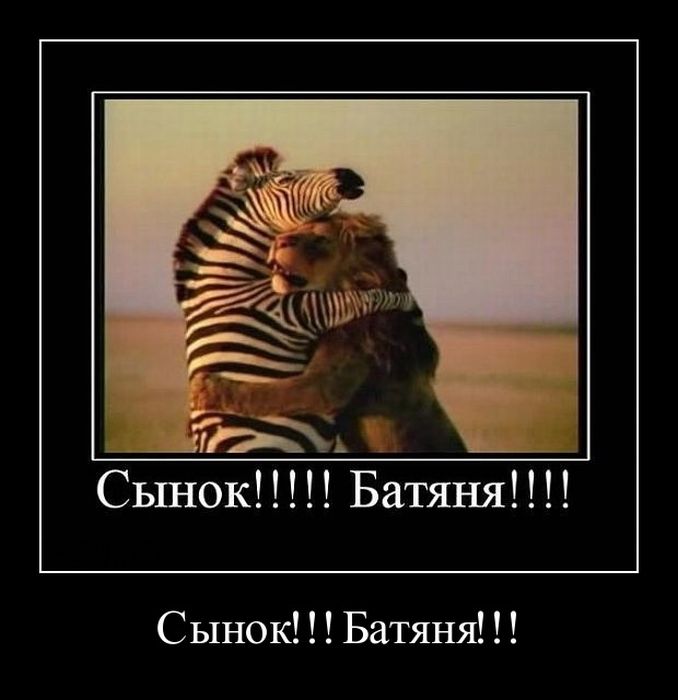 Демотиваторы приколы