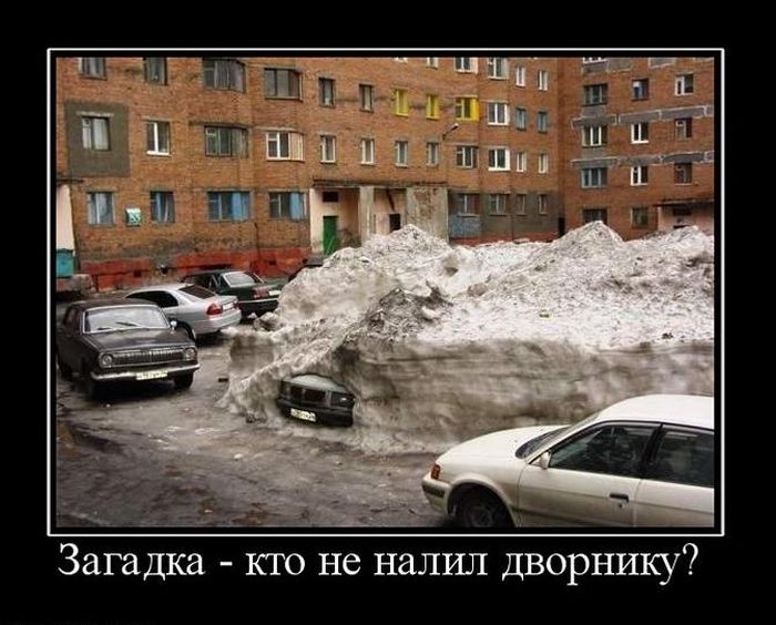 Демотиваторы приколы