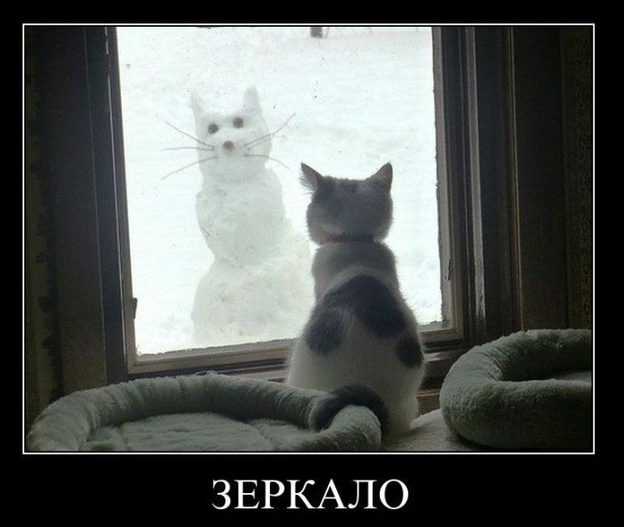 Демотиваторы приколы