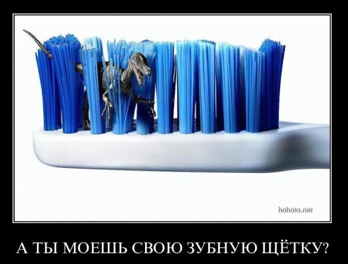 Демотиваторы приколы