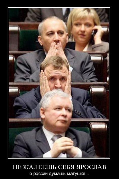 Демотиваторы приколы