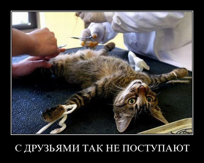 Демотиваторы приколы