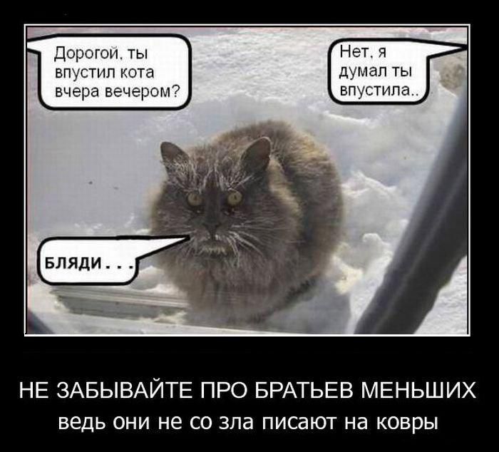 Демотиваторы приколы