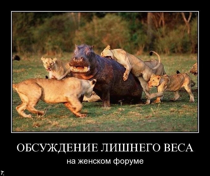 Демотиваторы приколы