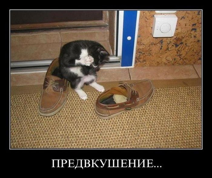 Демотиваторы приколы