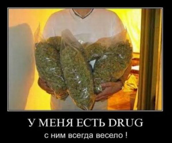 Демотиваторы приколы