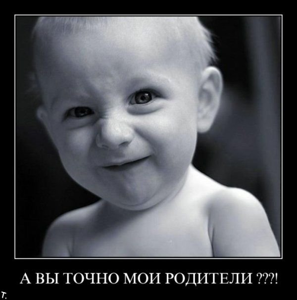 Демотиваторы приколы