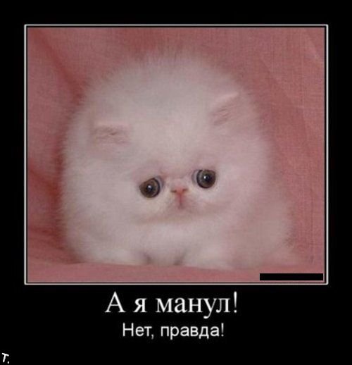 Демотиваторы приколы