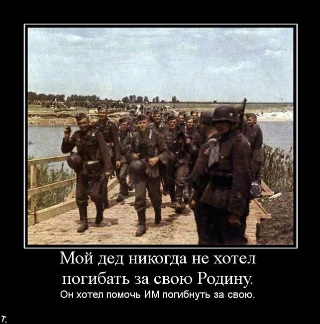 Демотиваторы приколы