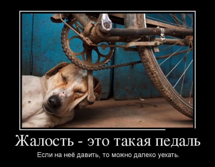 Демотиваторы приколы