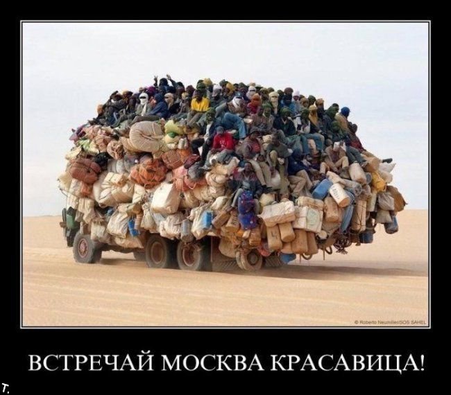 Демотиваторы приколы