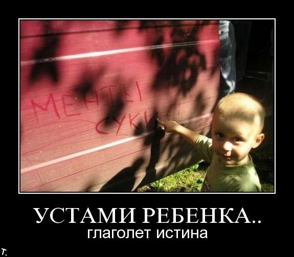 Демотиваторы приколы