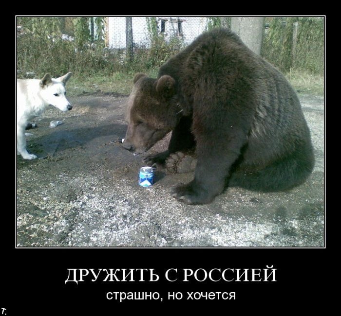 Демотиваторы приколы