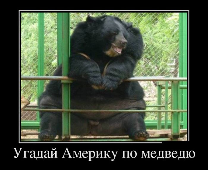 Демотиваторы приколы