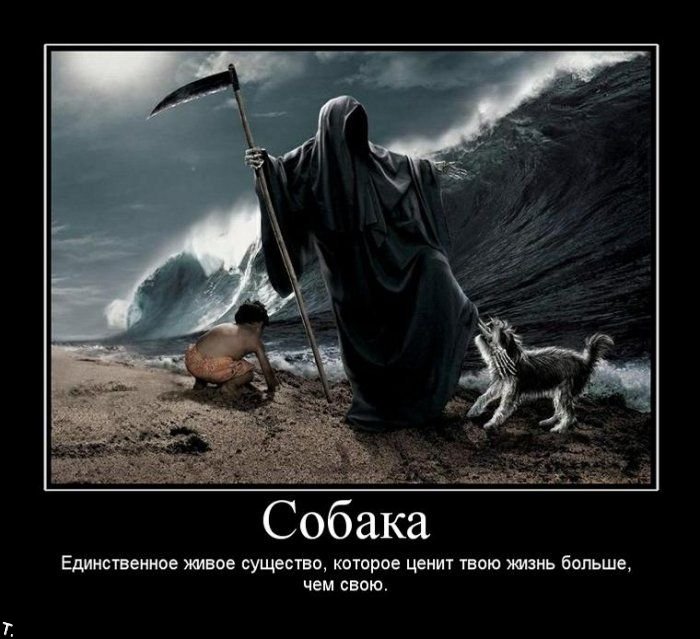 Демотиваторы приколы