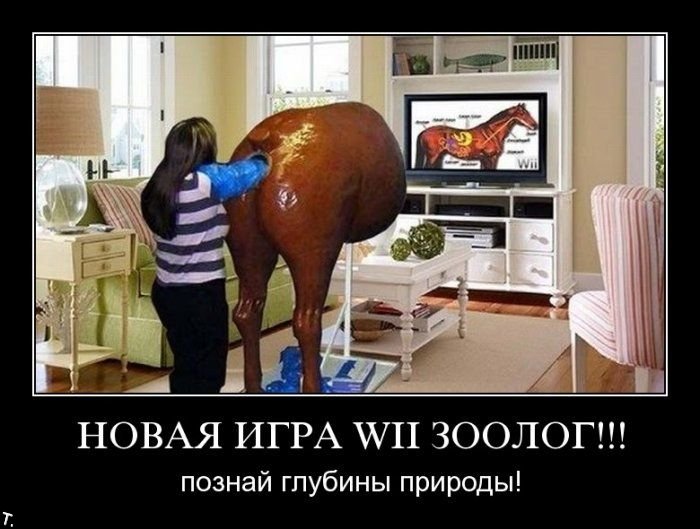 Демотиваторы приколы