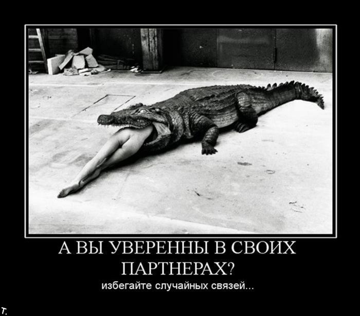 Демотиваторы приколы