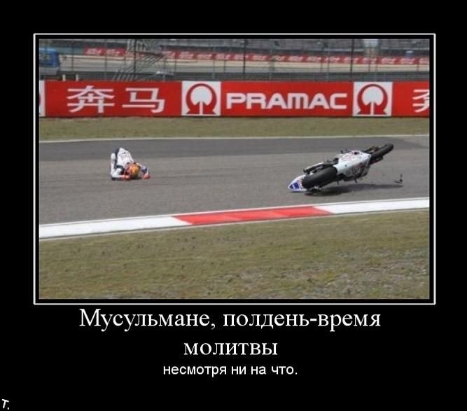 Демотиваторы приколы