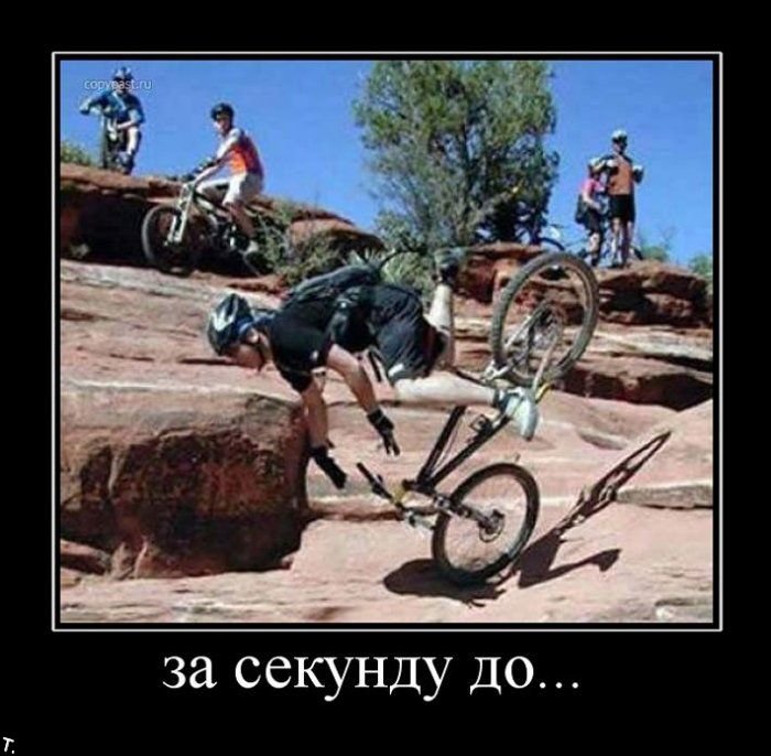 Демотиваторы приколы