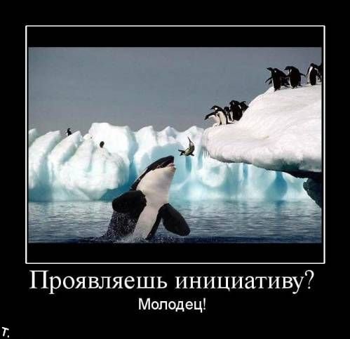 Демотиваторы приколы