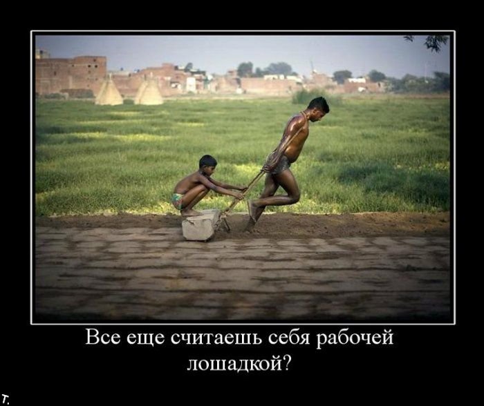 Демотиваторы приколы