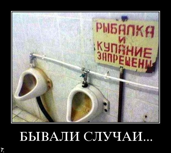 Демотиваторы приколы