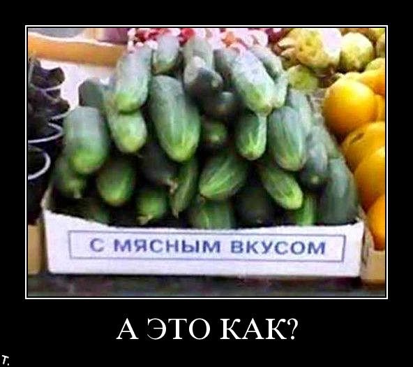 Демотиваторы приколы