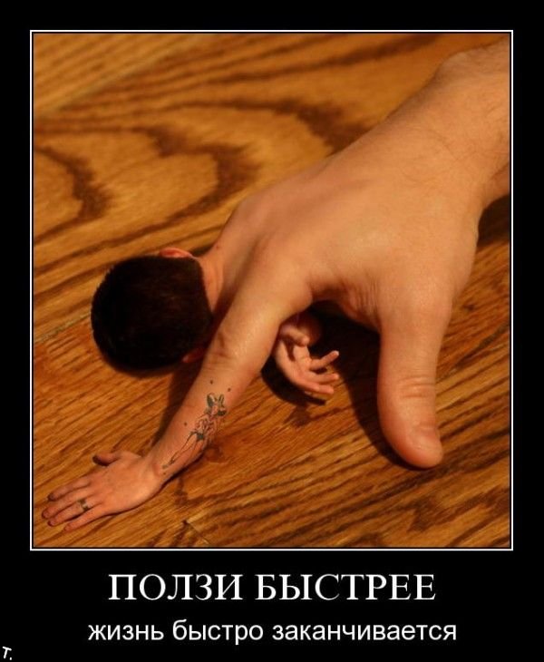 Демотиваторы приколы