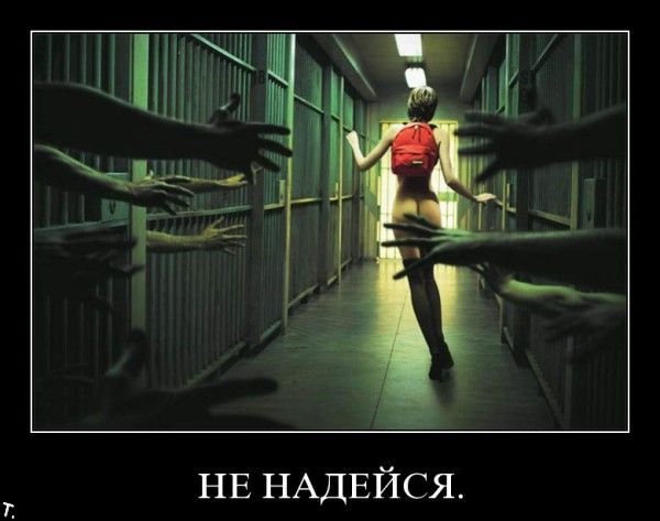 Демотиваторы приколы