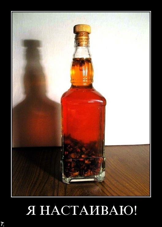 Демотиваторы приколы