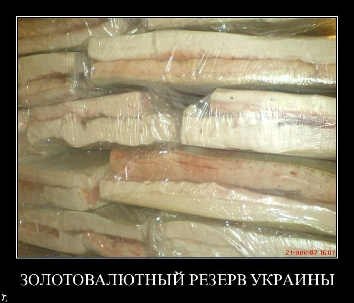 Демотиваторы приколы