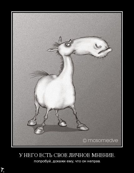 Демотиваторы приколы