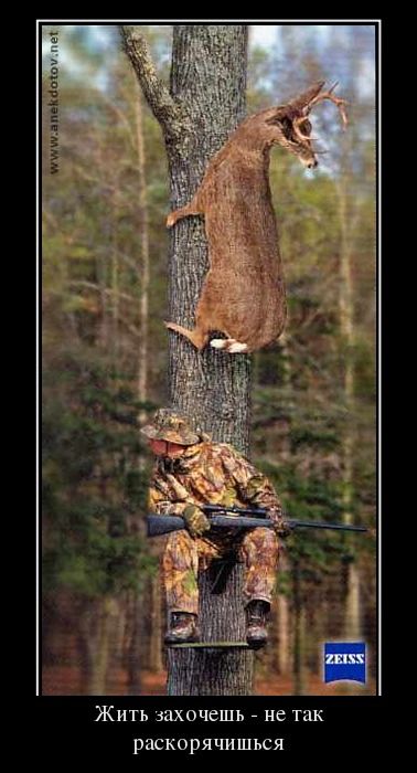 Демотиваторы приколы