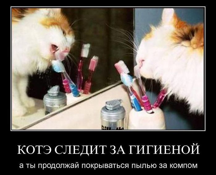 Демотиваторы приколы