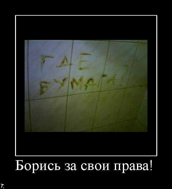 Демотиваторы приколы