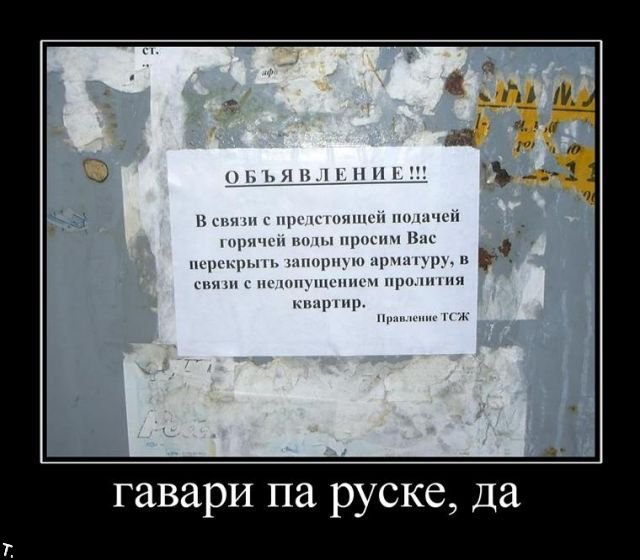 Демотиваторы приколы