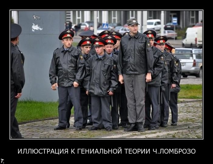 Демотиваторы приколы