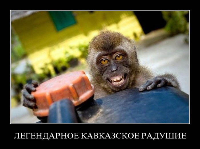 Демотиваторы приколы