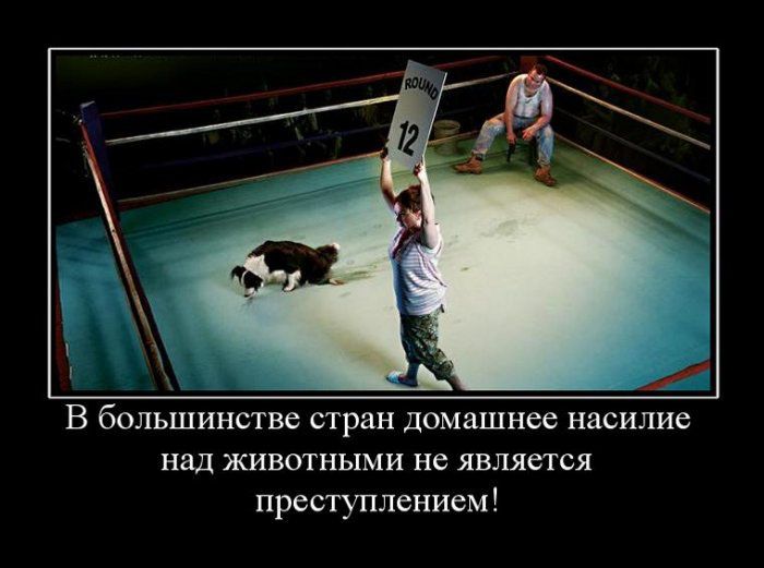 Демотиваторы приколы