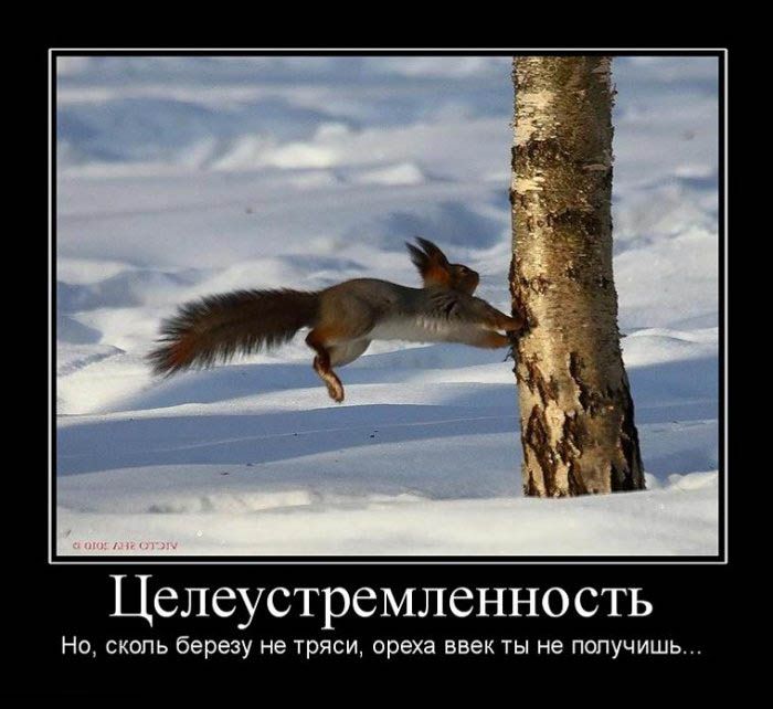 Демотиваторы приколы