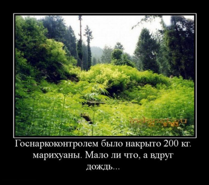 Демотиваторы приколы