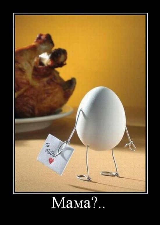 Демотиваторы приколы