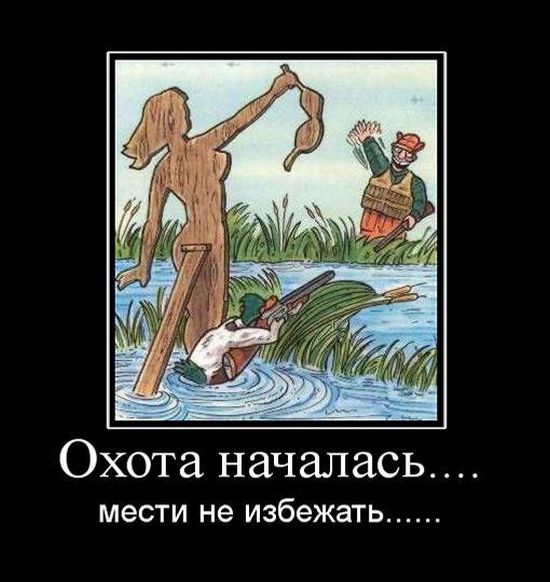 Демотиваторы приколы
