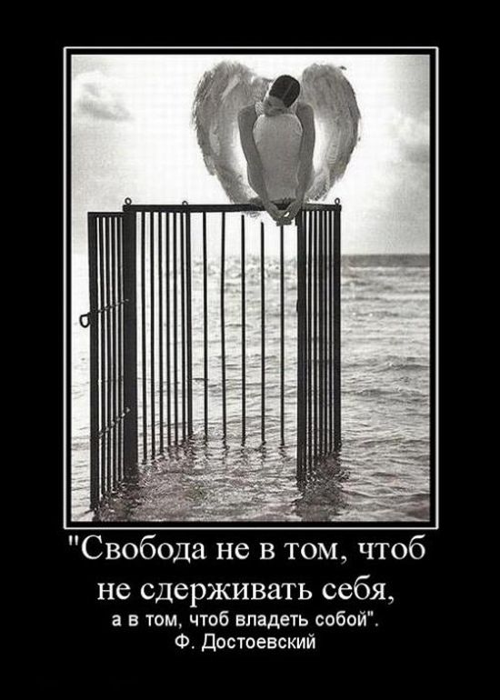 Демотиваторы приколы