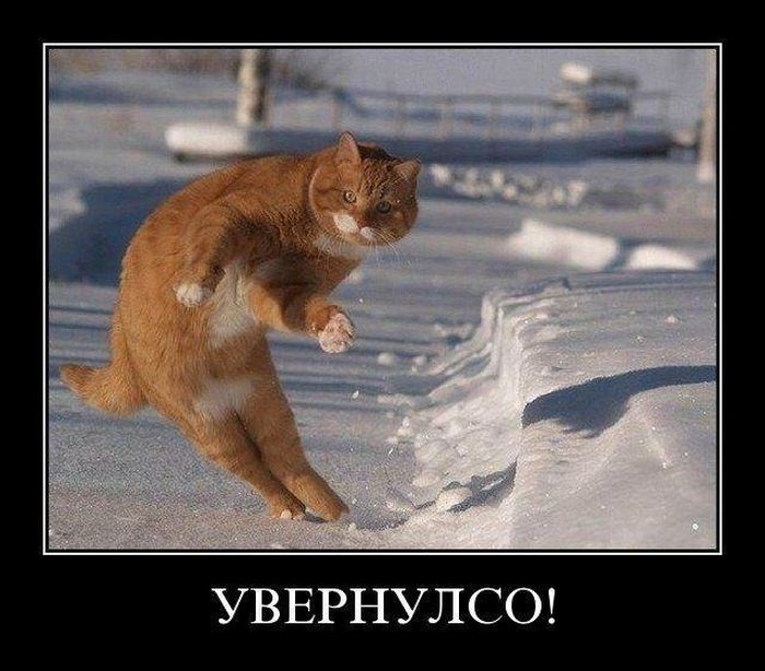 Демотиваторы приколы