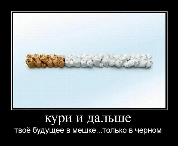 Демотиваторы приколы